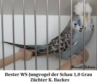 5 Zuechtertreffen mit Jungvogel und Babyschau